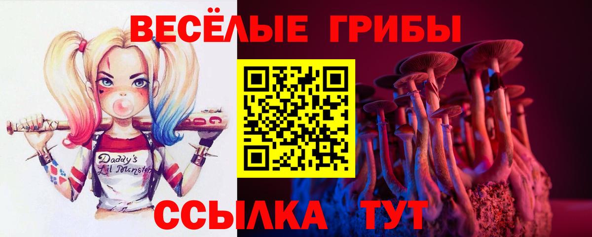 Псилоцибиновые грибы мухоморы  Вход с VPN  купить наркотик  Химки  Псилоцибиновые грибы мицелий 